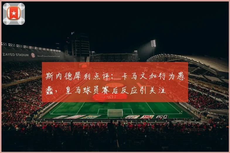 斯内德犀利点评：卡马文加行为愚蠢，皇马球员赛后反应引关注