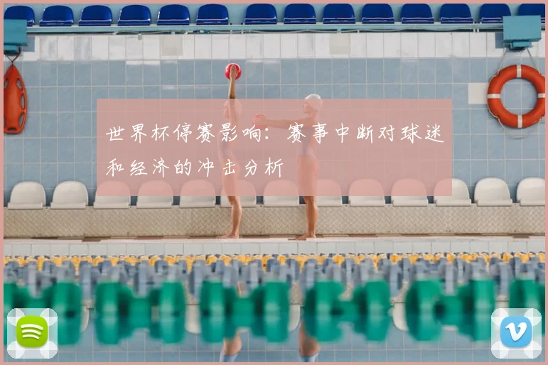 世界杯停赛影响:赛事中断对球迷和经济的冲击分析
