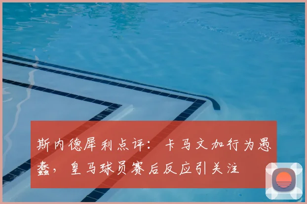 斯内德犀利点评：卡马文加行为愚蠢，皇马球员赛后反应引关注
