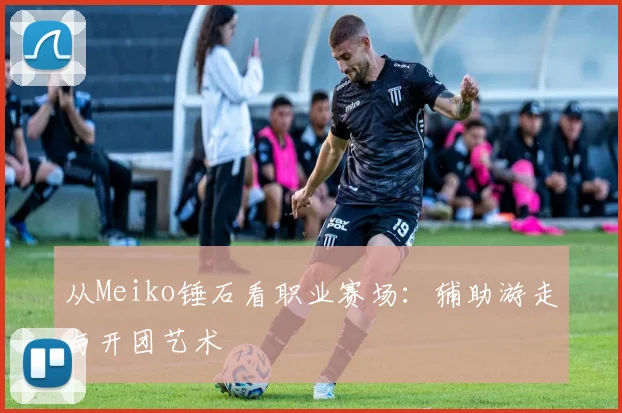 从Meiko锤石看职业赛场：辅助游走与开团艺术