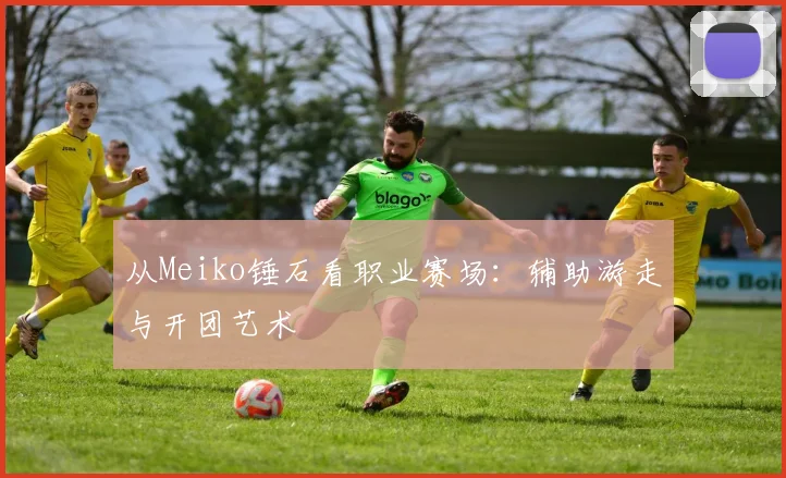 从Meiko锤石看职业赛场：辅助游走与开团艺术